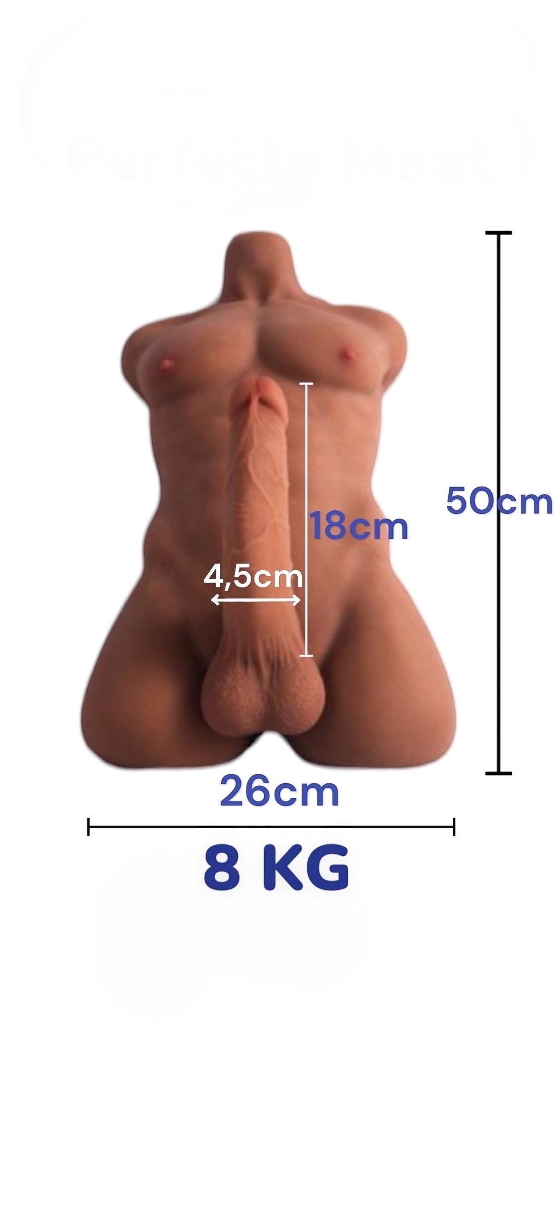 Mannelijke Sekspop Mitch – Mannelijke Sextorso